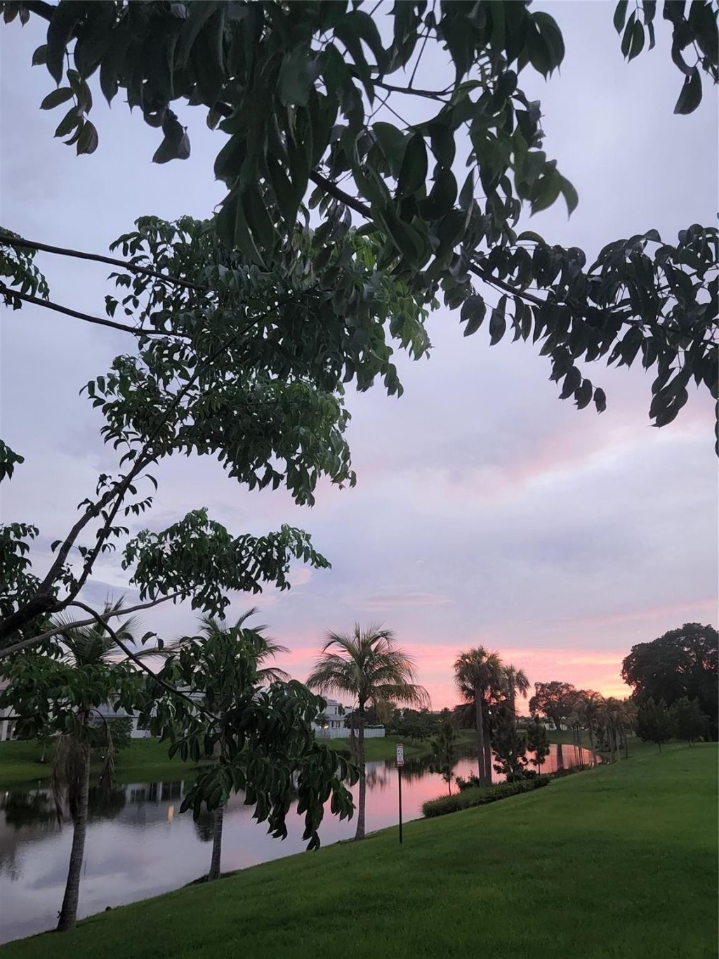 4900 Washington Street, Unit 309, Hollywood, FL 33021 Photo