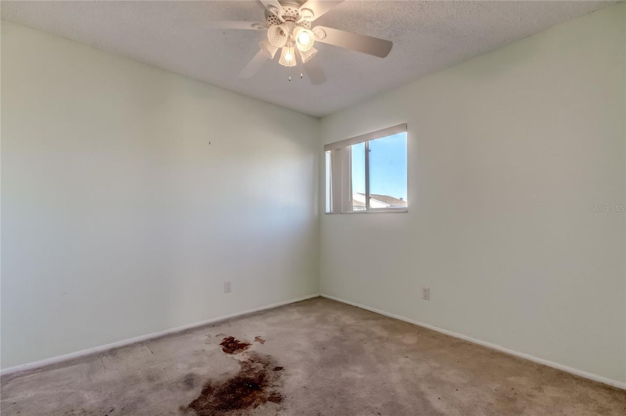 965 Whitman Drive, Sarasota, FL 34243 Photo