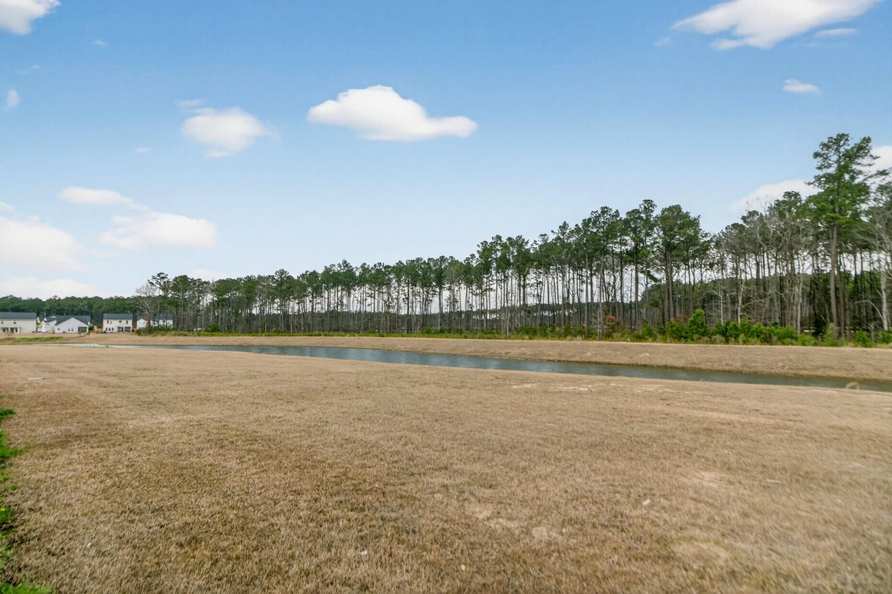 237 Cypress Preserve Boulevard Photo 32