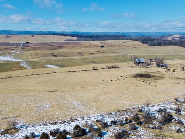 4080 FLAT ROCK RD, QUICKSBURG, VA 22847