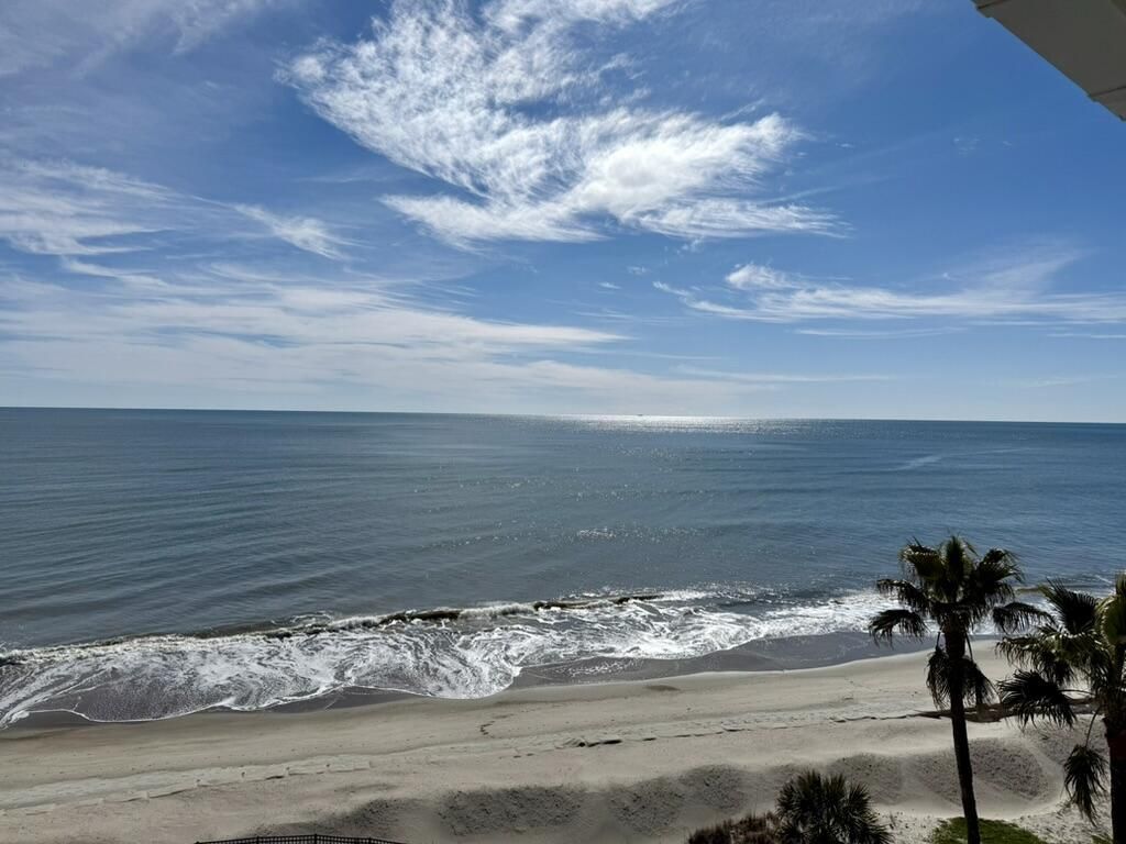 9002 Palmetto Drive Photo 13