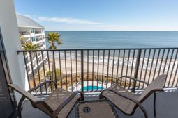 9002 Palmetto Drive photo 4