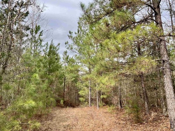01 Ford Road, Marion, LA 71260