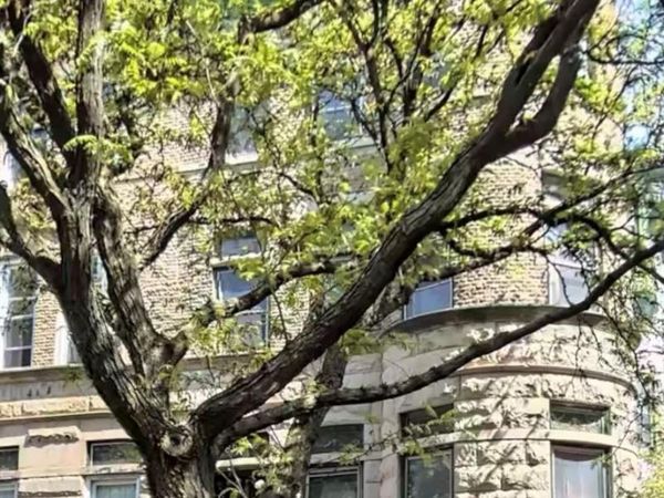 897 Park Place , Brooklyn, NY 11216