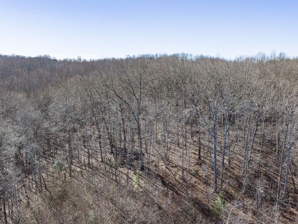 0 Old Altamont Rd, Tracy City, TN 37387