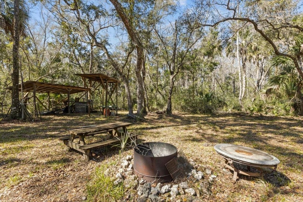 86.77 Acres SW Turtle Pass Road , Chiefland, FL 32626 Photo