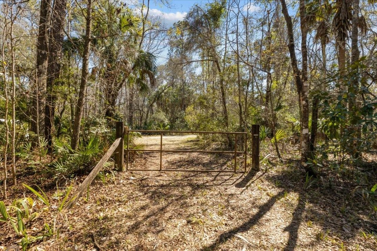 86.77 Acres SW Turtle Pass Road , Chiefland, FL 32626 Photo