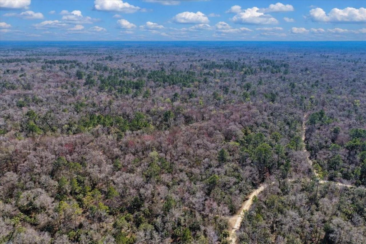 86.77 Acres SW Turtle Pass Road , Chiefland, FL 32626 Photo