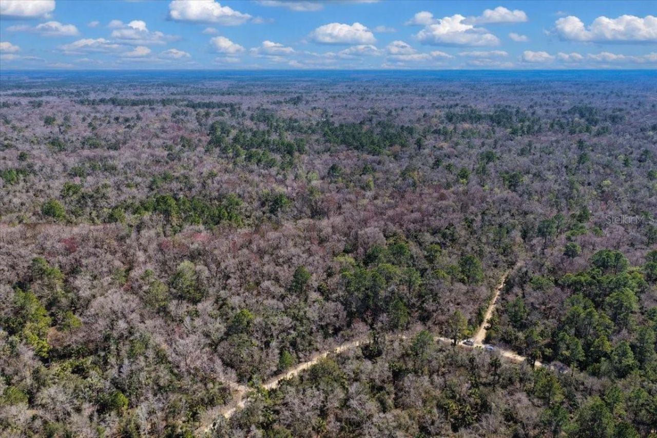 86.77 Acres SW Turtle Pass Road , Chiefland, FL 32626 Photo