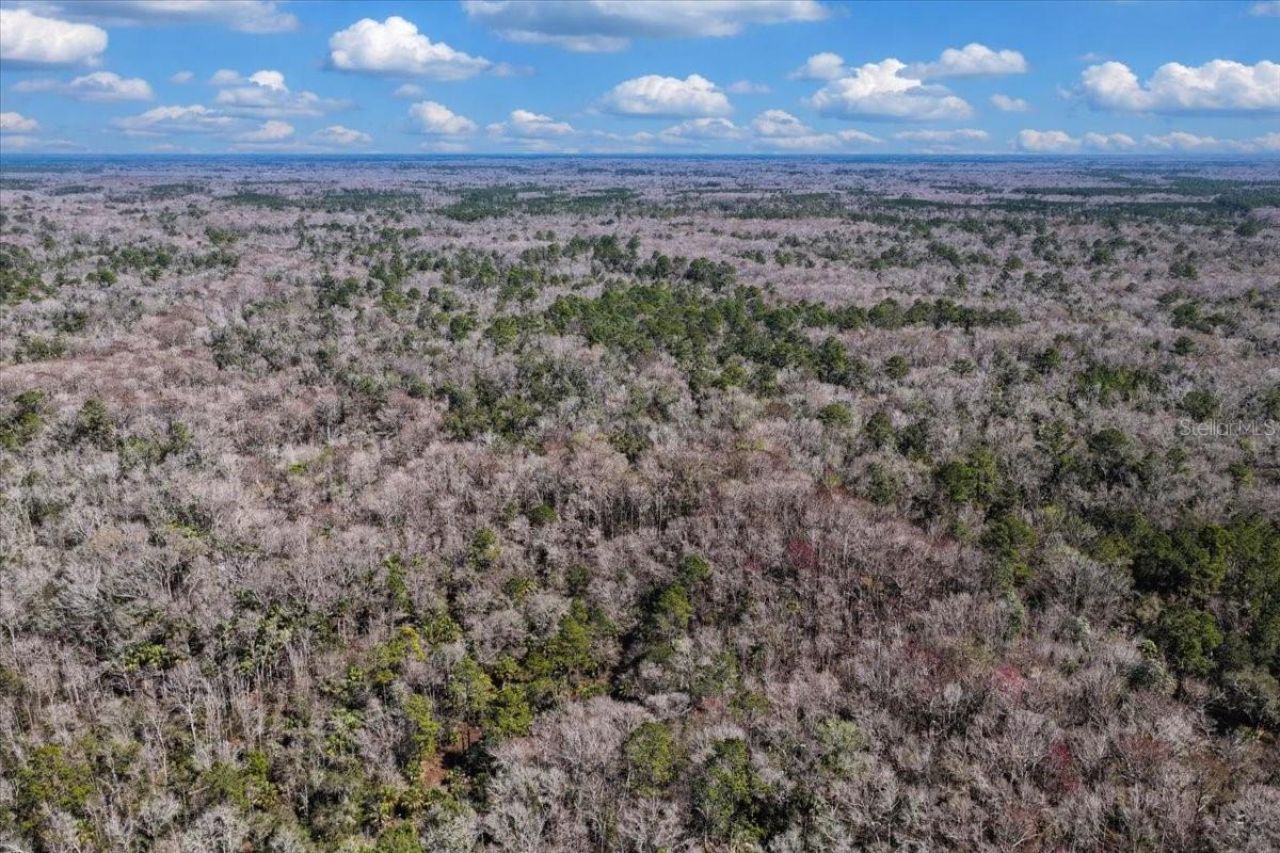 86.77 Acres SW Turtle Pass Road , Chiefland, FL 32626 Photo