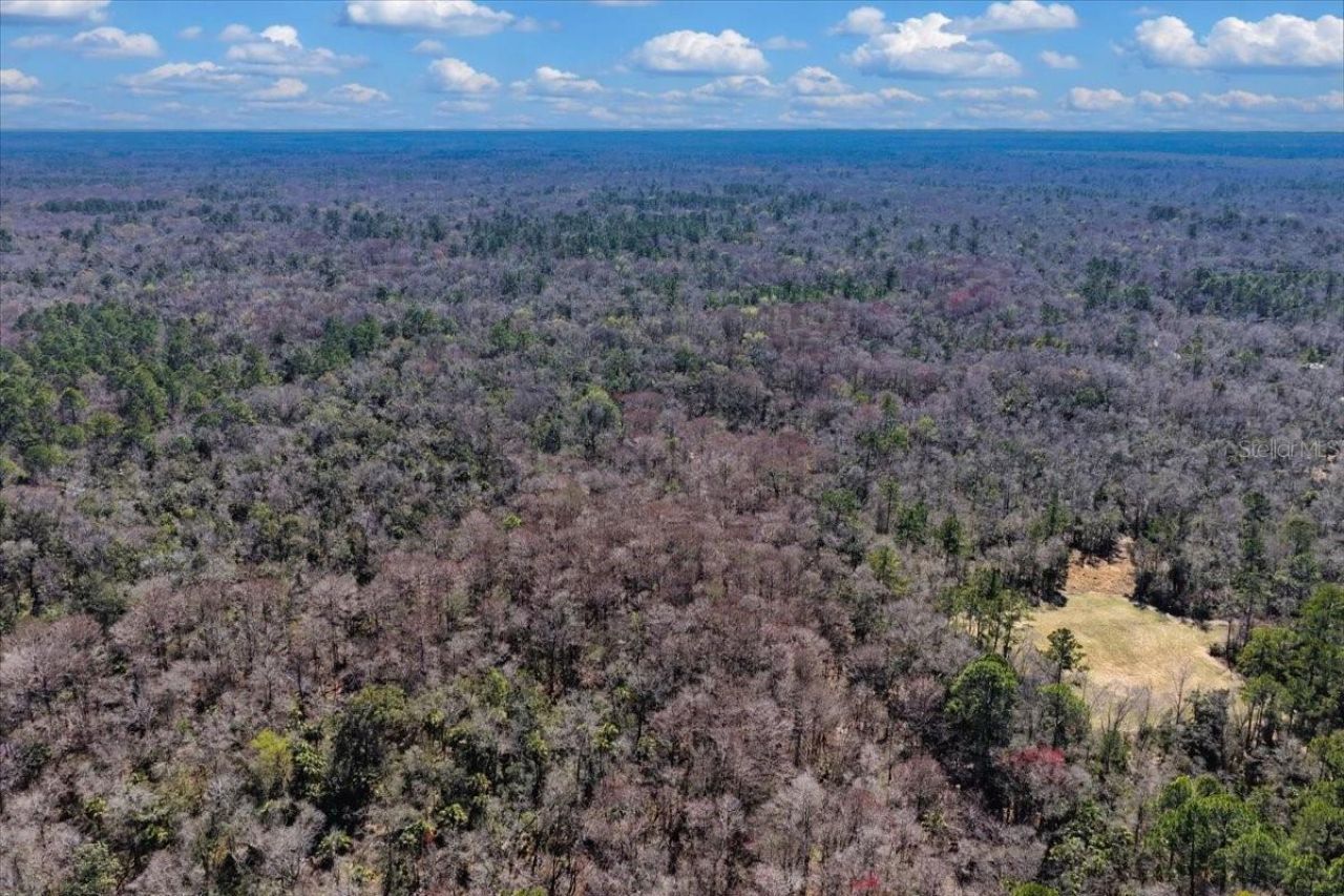 86.77 Acres SW Turtle Pass Road , Chiefland, FL 32626 Photo