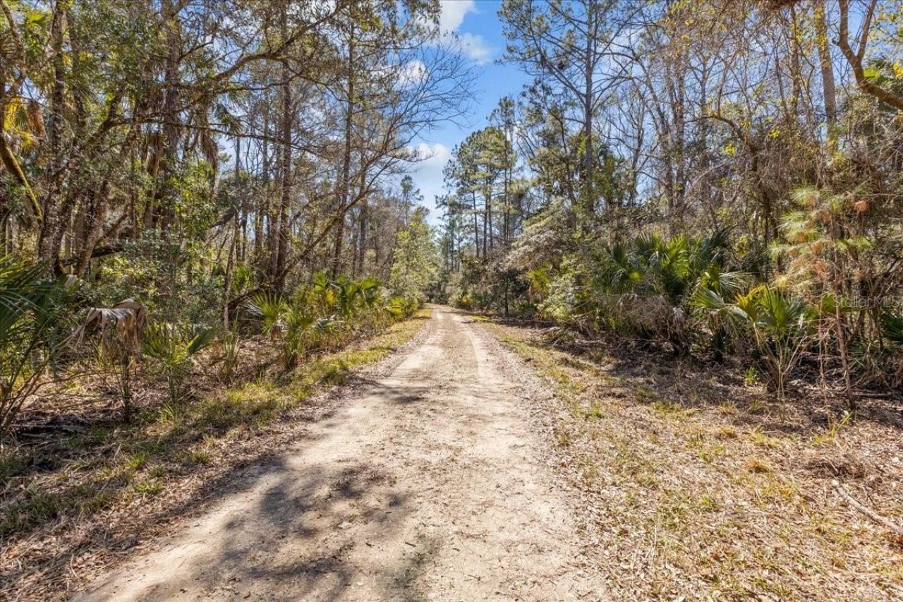 86.77 Acres SW Turtle Pass Road , Chiefland, FL 32626 Photo