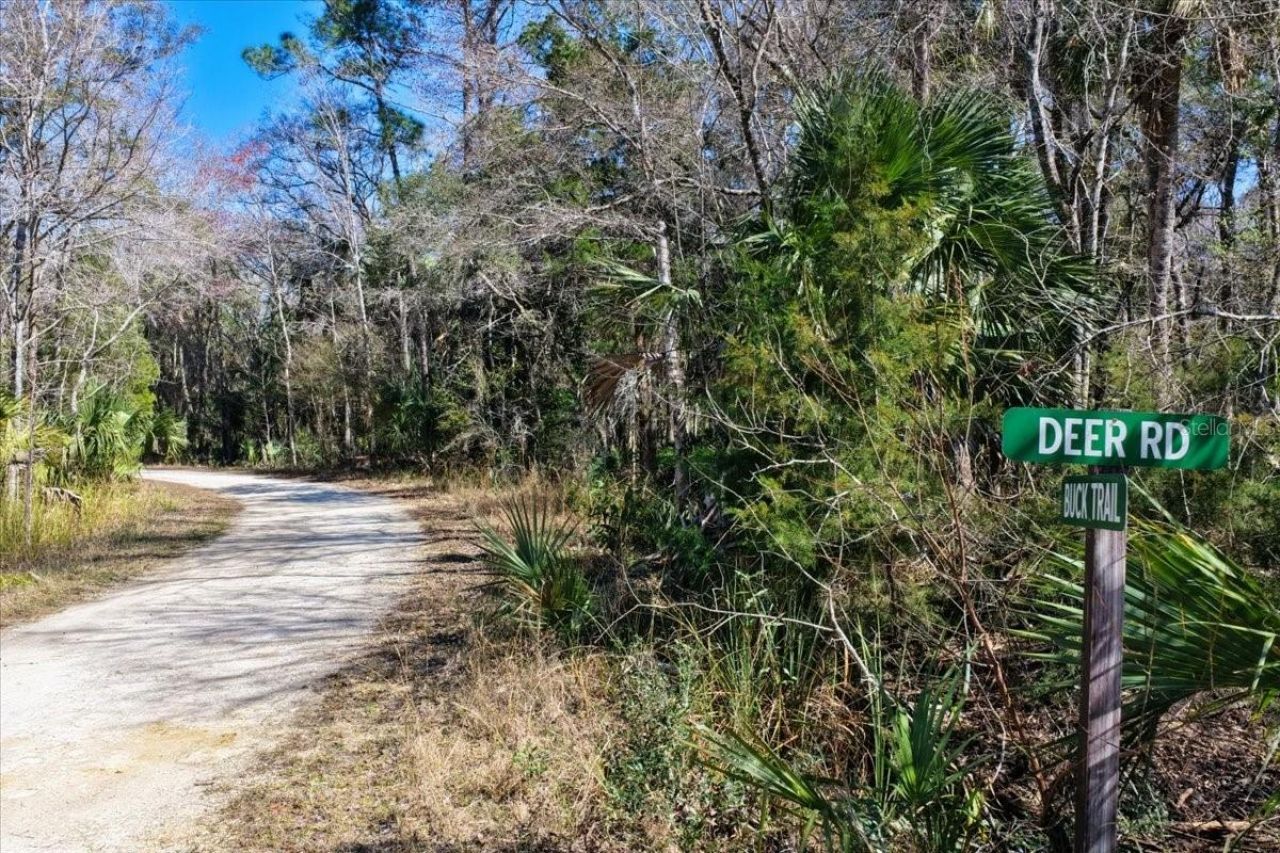 86.77 Acres SW Turtle Pass Road , Chiefland, FL 32626 Photo