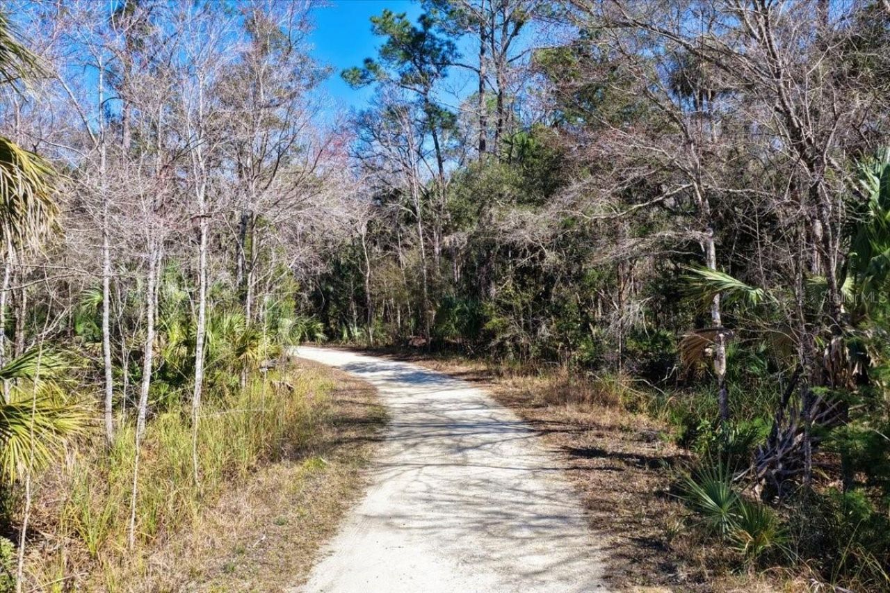 86.77 Acres SW Turtle Pass Road , Chiefland, FL 32626 Photo