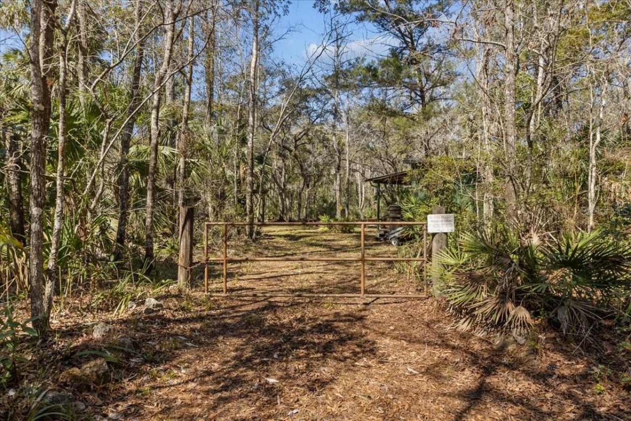 86.77 Acres SW Turtle Pass Road , Chiefland, FL 32626 Photo