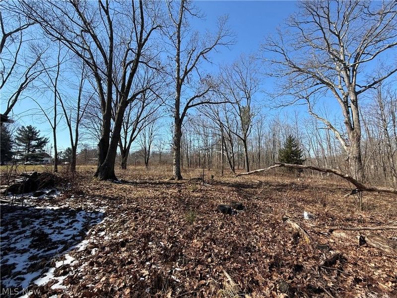 6399 Newton Falls Road, Ravenna, OH 44266 Photo 1