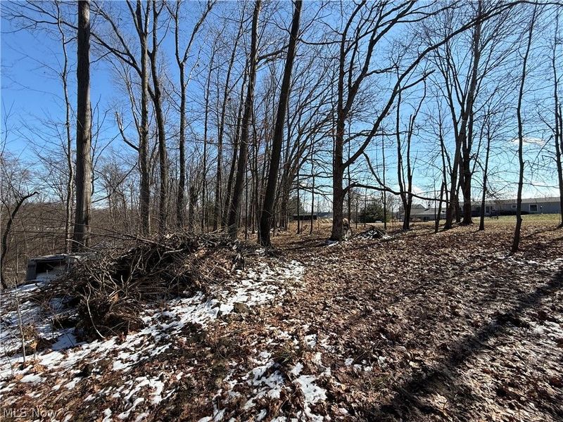 6399 Newton Falls Road, Ravenna, OH 44266 Photo 10