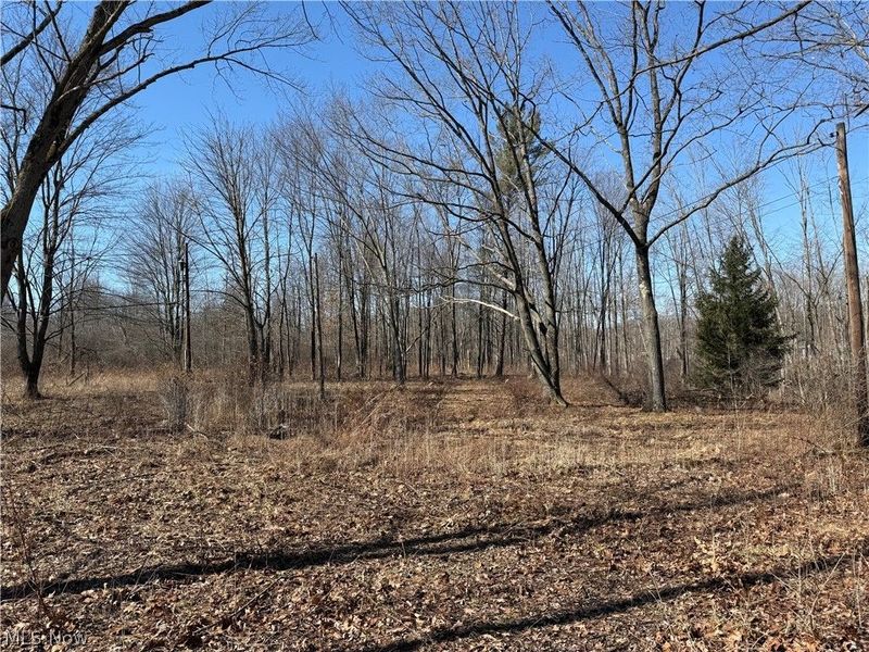 6399 Newton Falls Road, Ravenna, OH 44266 Photo 12