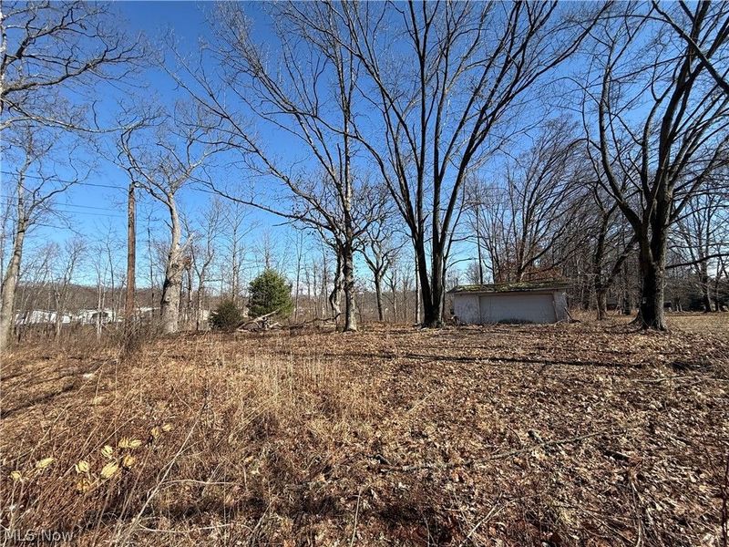 6399 Newton Falls Road, Ravenna, OH 44266 Photo 14