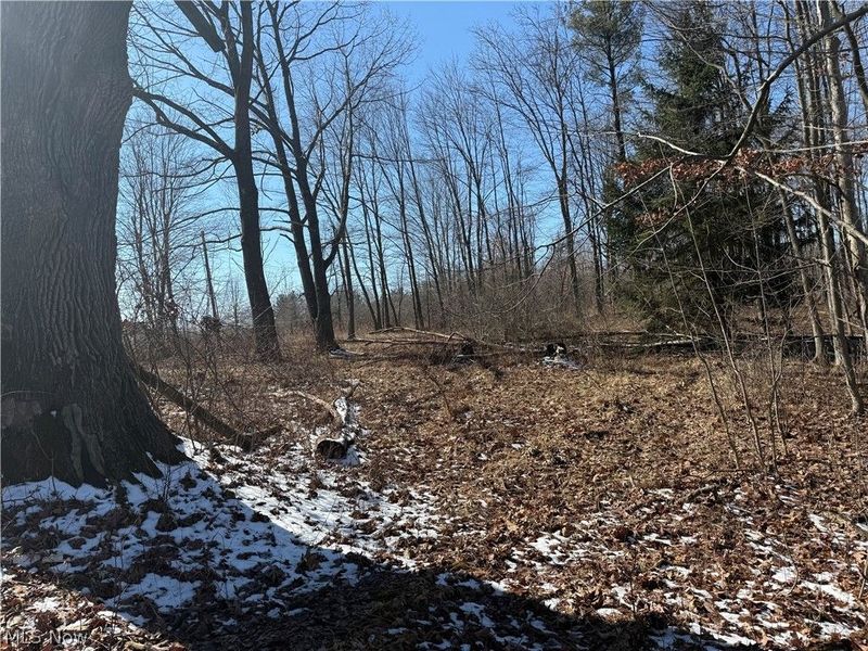 6399 Newton Falls Road, Ravenna, OH 44266 Photo 6