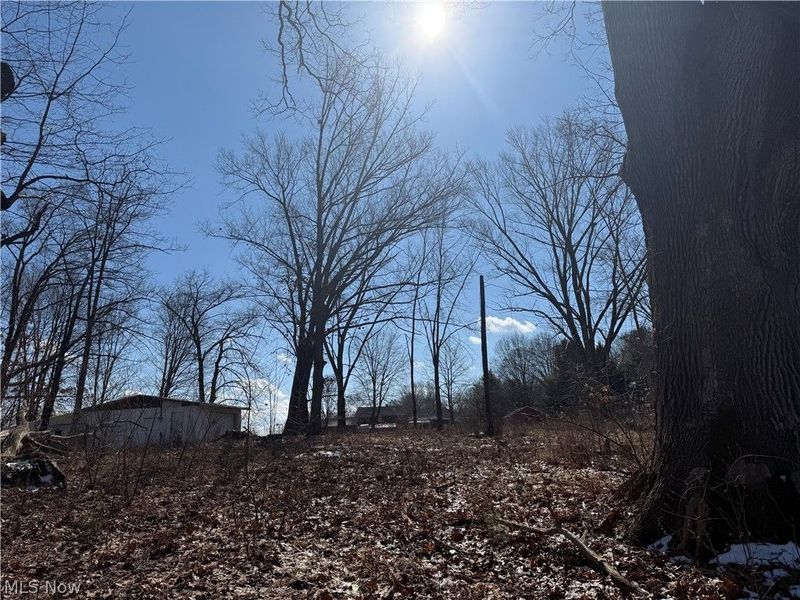 6399 Newton Falls Road, Ravenna, OH 44266 Photo 7