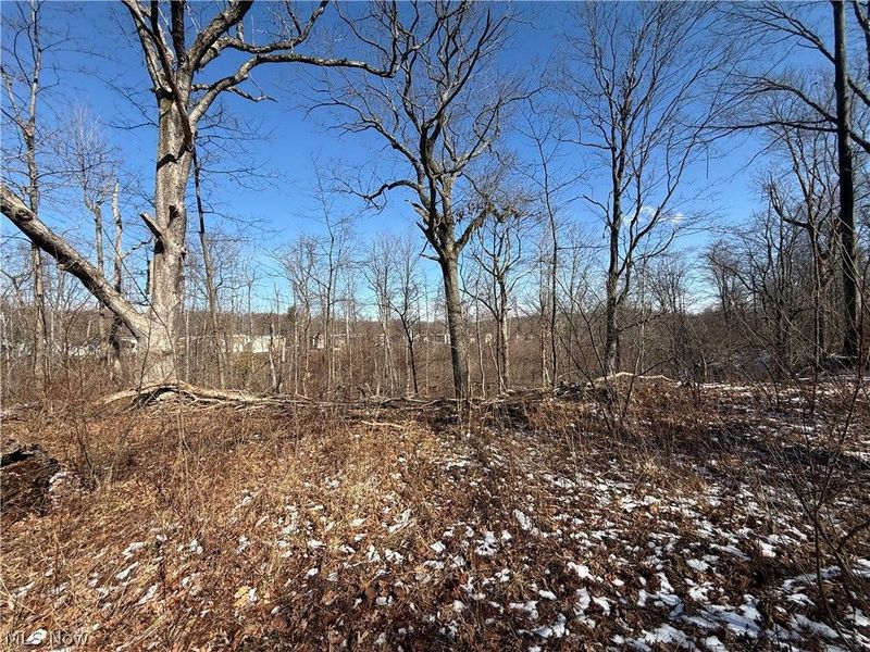 6399 Newton Falls Road, Ravenna, OH 44266 Photo 9