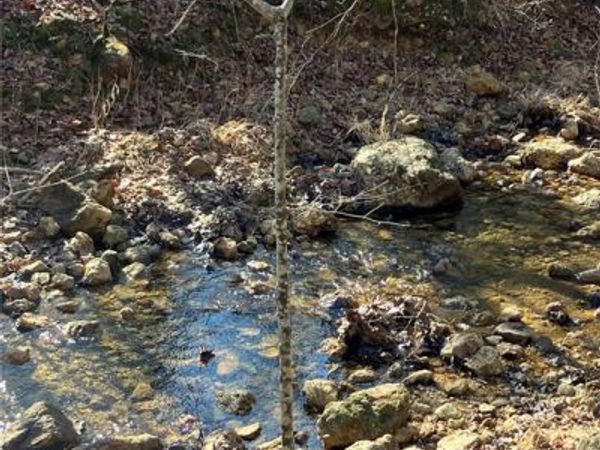 212 Madison CR 410, Fredericktown, MO 63645