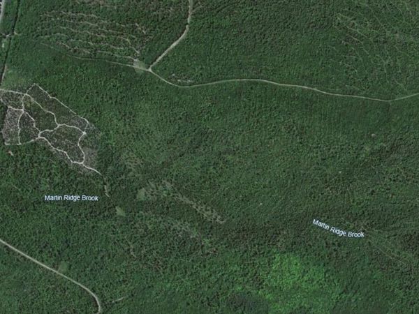 Map10Lot27 Blackswoods Road , Franklin, ME 04634