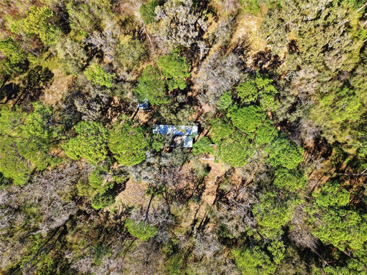 13401 Palm Drive , Astatula, FL 34705 Photo