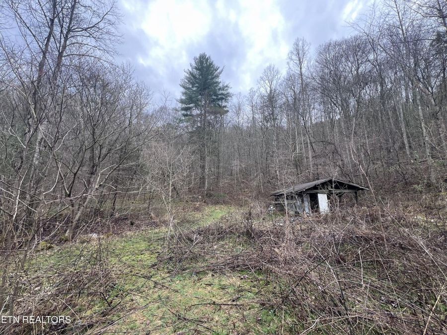 Property Image 33