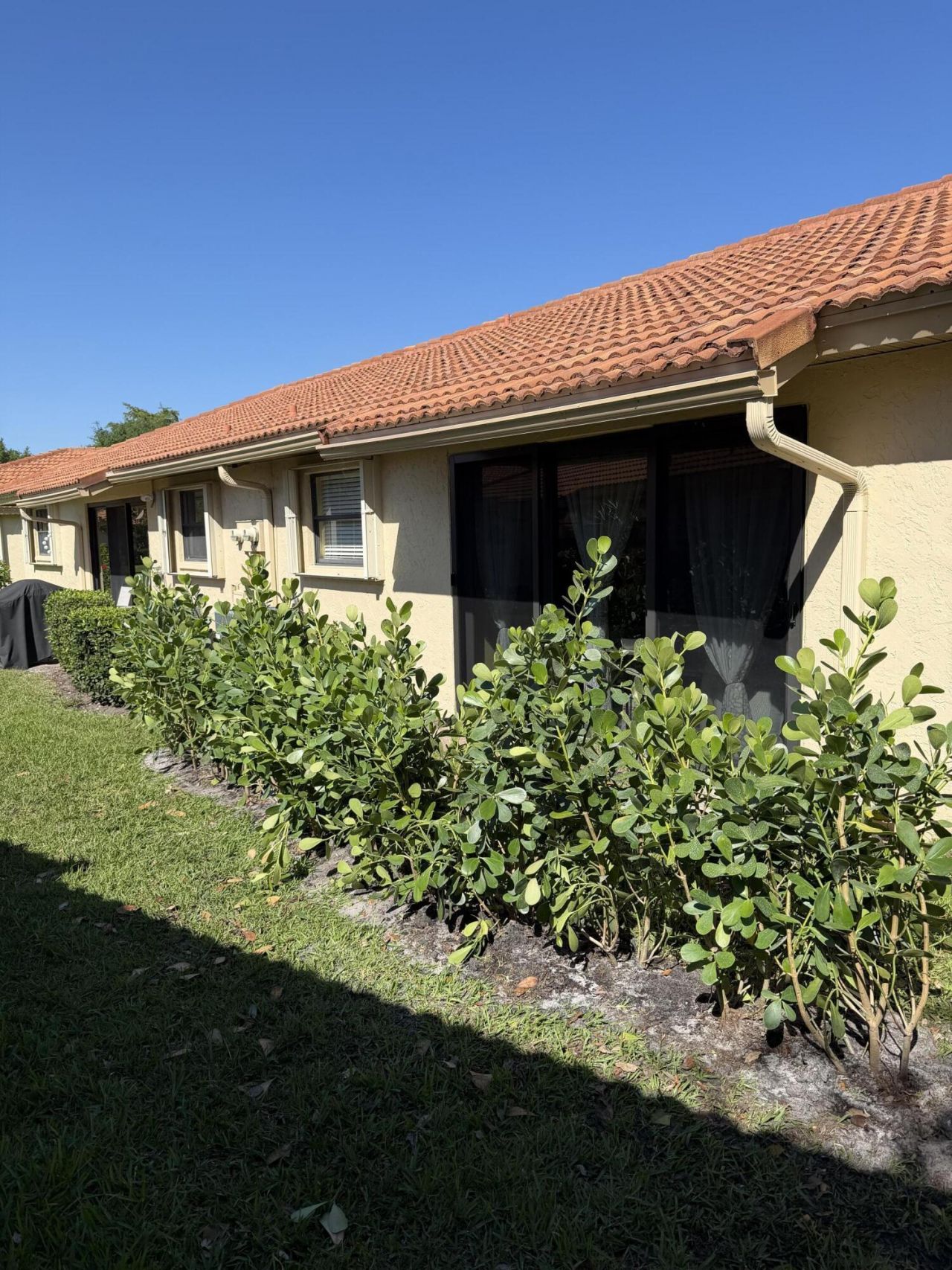 9885 Clusia Tree Drive, Unit A, Boynton Beach, FL 33436 Photo