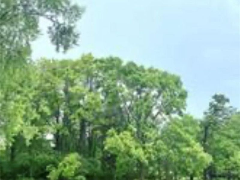 7847 Betsy Ross Circle, Dayton, OH 45459 Photo 7