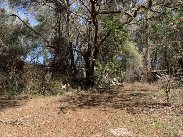 2361 SE 178 St, Summerfield, FL 34491