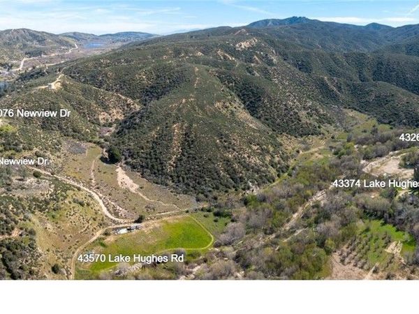 43460 Newview Drive, Lake Hughes, CA 93532