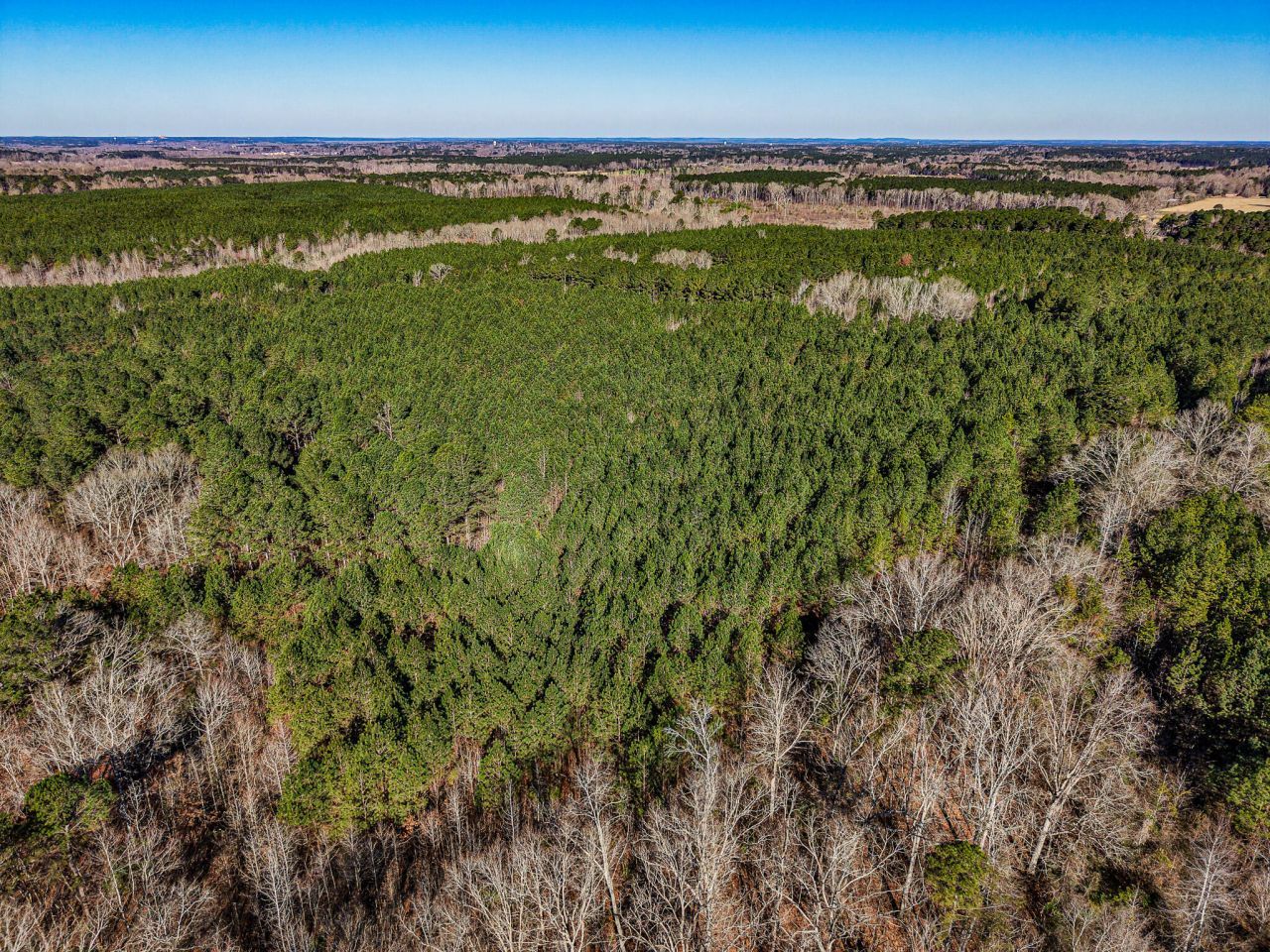 Reservation Rd, Philadelphia, MS 39350 Main Photo