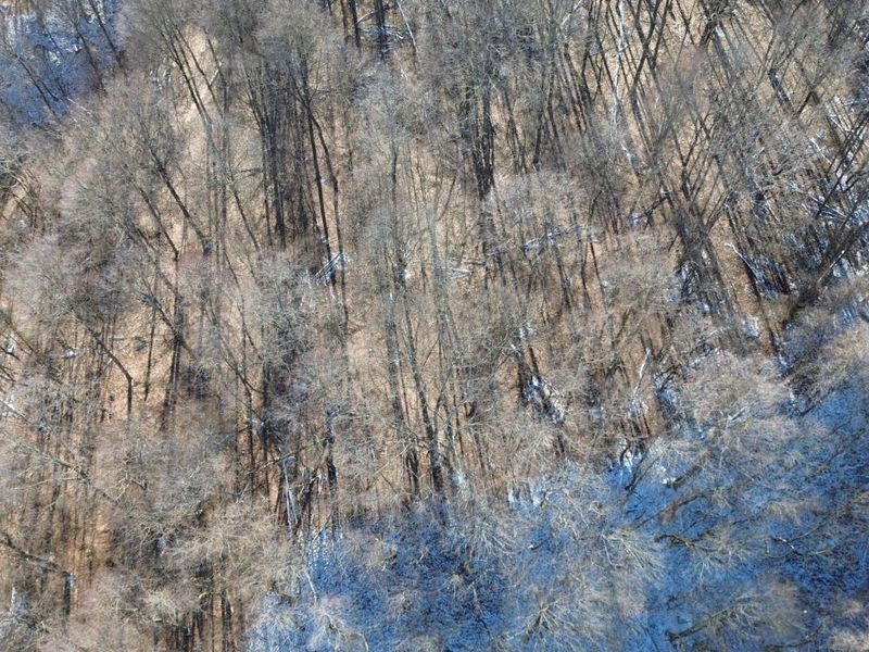 9246 Summit Road SE, Newark, OH 43055 Photo 6