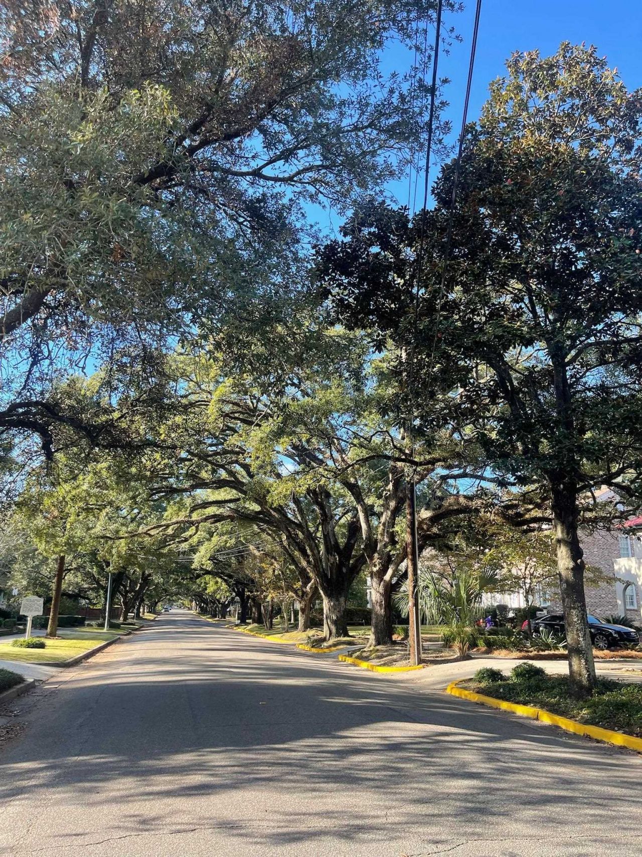 511 Prince St.  Photo 16