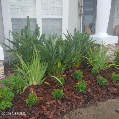 2115 Autumn Cove Circle, Fleming Island, FL 32003 Photo