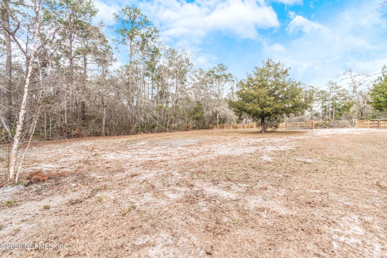 22528 Doyle Williams Road, Sanderson, FL 32087 Photo