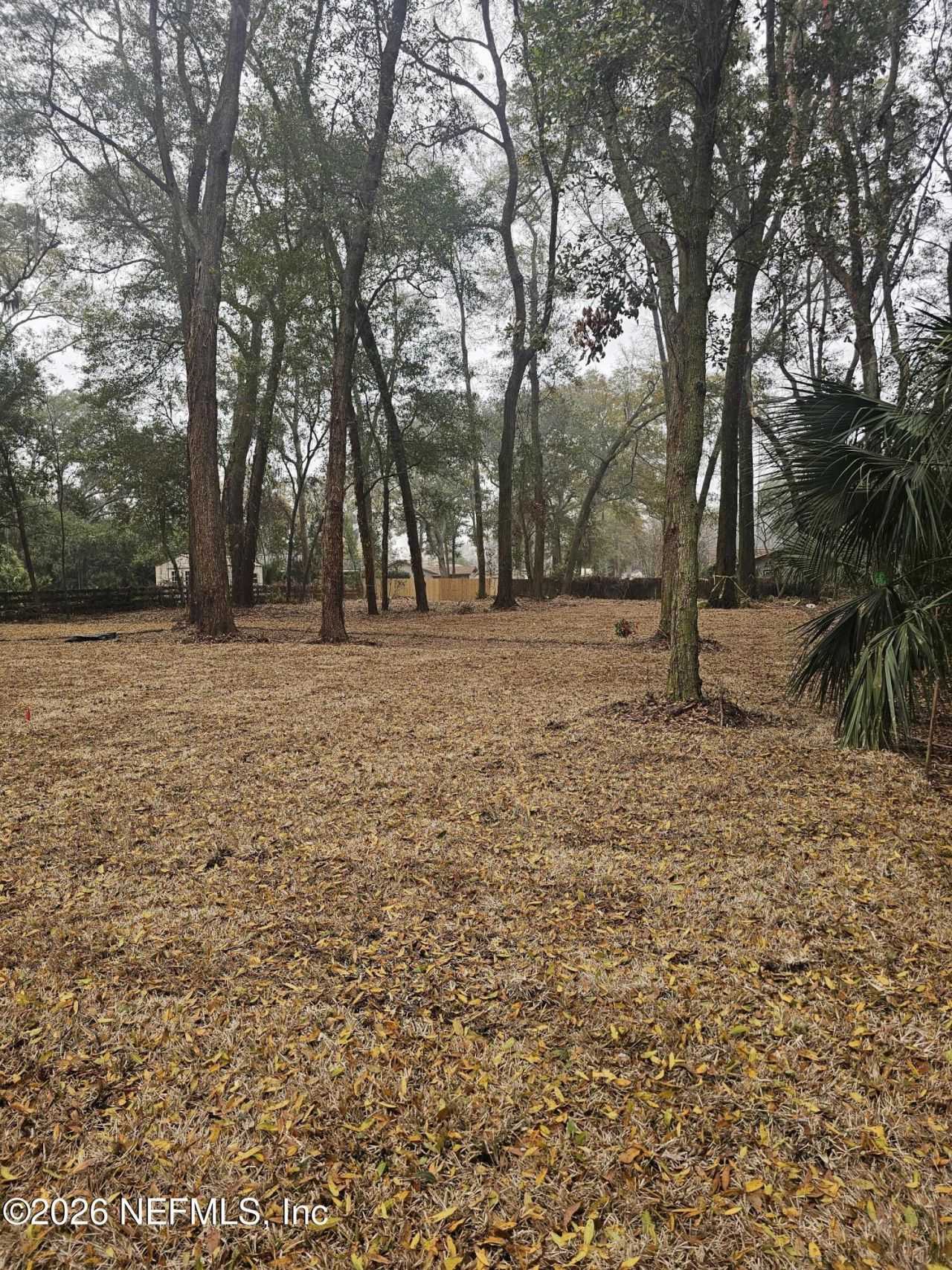 1355 Eddy Road, Jacksonville, FL 32211 Photo