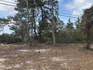 0 PETTIT Road, Crescent City, FL 32112