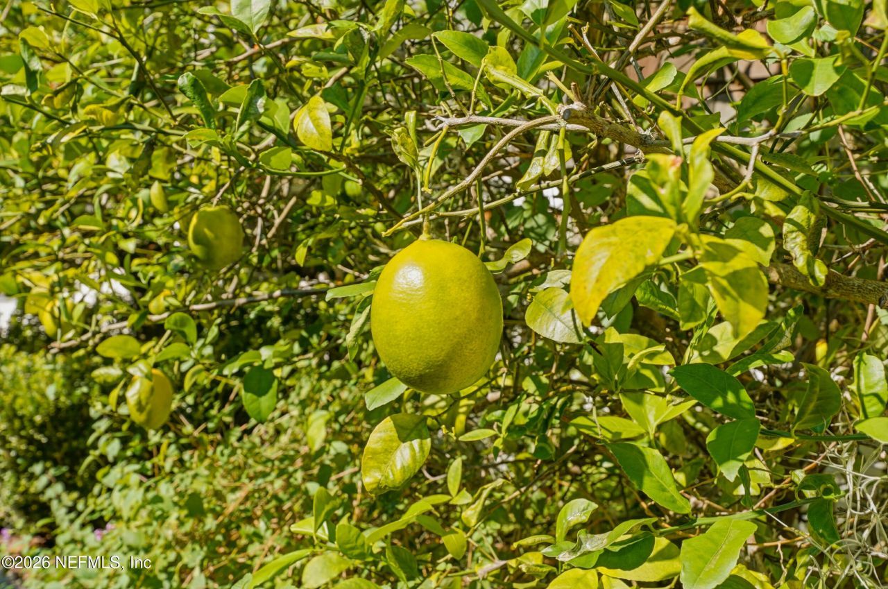 193 Admirals Way S, Ponte Vedra Beach, FL 32082 Photo