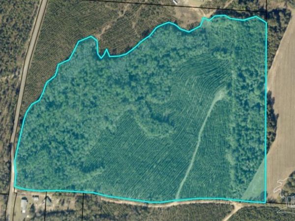 0000 Watson Rd, Allentown, FL 32570