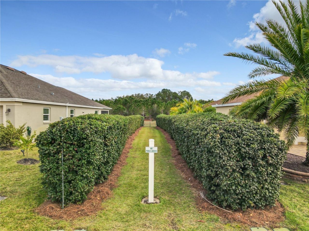 4239 Deskin Lane, The Villages, FL 32163 Photo