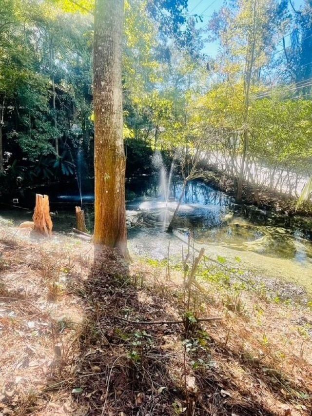 610 N Calhoun Street , Quincy, FL 32351 Photo