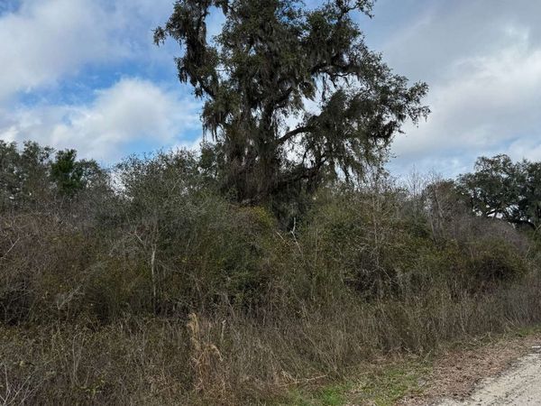 TBD 59TH DRIVE, Wellborn, FL 32094