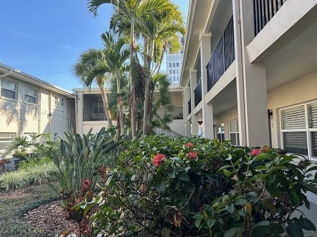 224 6th Avenue N, Unit 5, Saint Petersburg, FL 33701 Photo