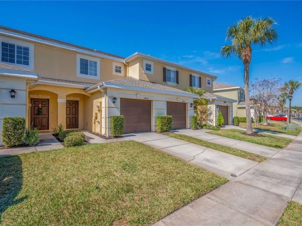 20408 NEEDLETREE DRIVE , TAMPA, FL 33647