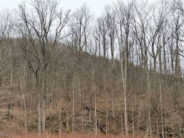 mountaineer Highway, New Martinsville, WV 26155