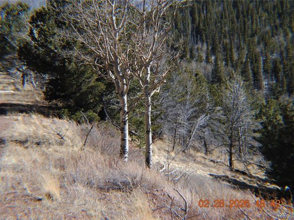 2734 NEWMAN, Fort Garland, CO 81133